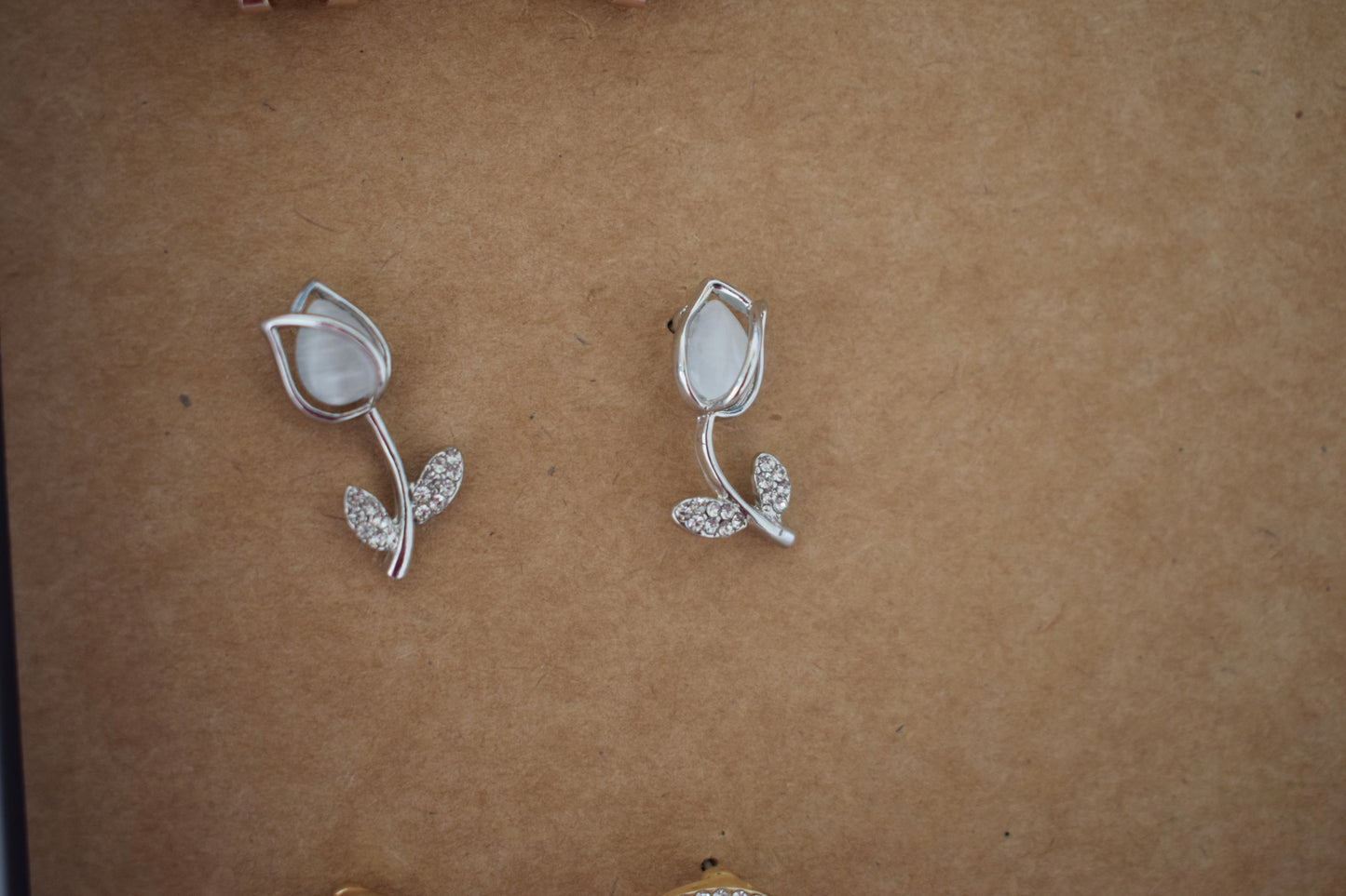 Matrut | Combo - 6 Pair Earrings - C506