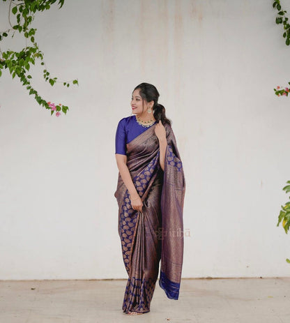 Matrut | Kishmish Indigo Silk Saree