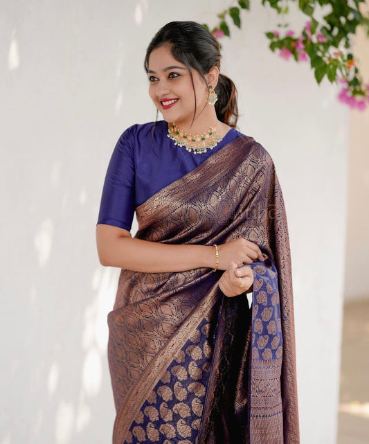 Matrut | Kishmish Indigo Silk Saree