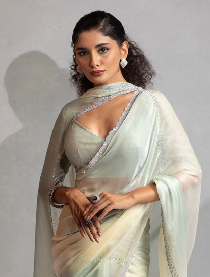 Matrut | Feathera Mint Green Saree