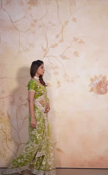 Matrut | Dolce Dip Parrot Green Saree